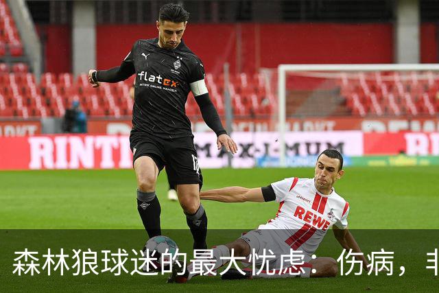 森林狼球迷的最大忧虑：伤病，非对手实力